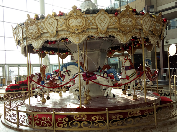 Central Park Merry Go Round Carousel